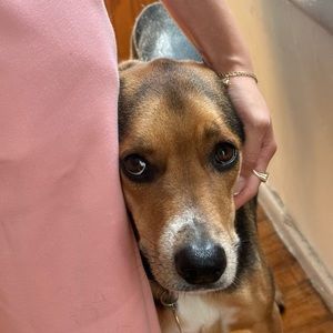 Meet your Posher, Ella